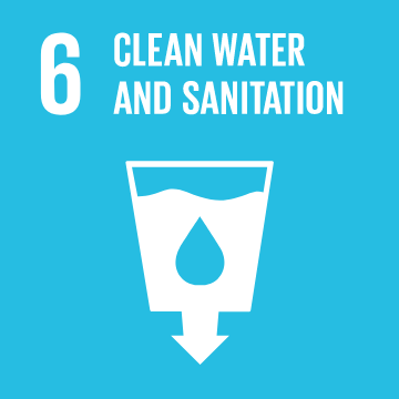 THE SUSTAINABLE DEVELOPMENT GOALS WE ARE CONTRIBUTING TO 5